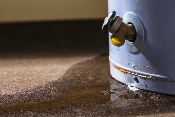 Professional Water damage restoration in Shannon, MS