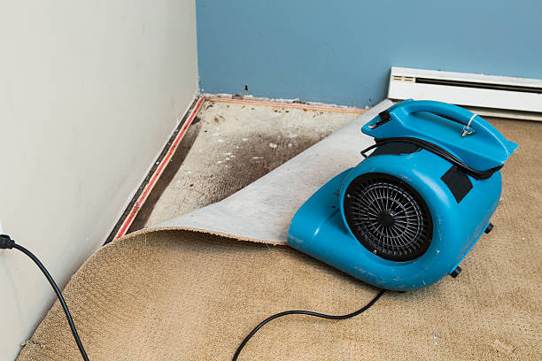 Local water damage restoration in Shannon, MS